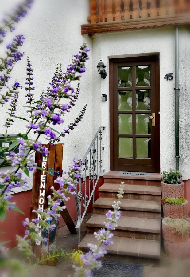 Ferienwohnung Konz مرتسيغ المظهر الخارجي الصورة